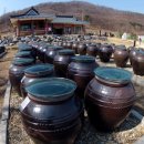 맹골사랑 이미지