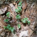 숲고을농장 이미지