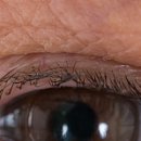 위드의원 이미지