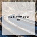 건강한 집밥 만들기 이미지