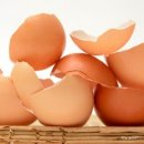 온수세탁소 이미지