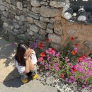 경북예천여행ㅣ환갑기념여행ㅣ회룡포마을ㅣ덕용재4.9ㅣ금당마루ㅣ