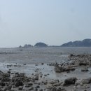 2018년 4월1일(일) 디딤 산악회 제372회차 인천광역시 중구 을왕동 용유도 해변길 당일산행안내문 이미지