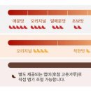 동대문엽기떡볶이(지산점) 이미지