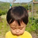 호재정육점