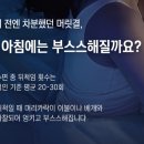 샴푸성인나이트