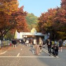 SAVE GYM(세이브짐) | 카카오뱅크 세이브레이스 2025 마라톤10K후기