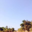 신음초등학교 이미지