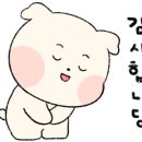 바르미샤브샤브n칼국수(관저점) 이미지