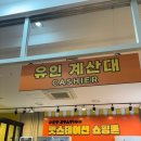 힐링존 | 수영역 고양이카페 피피피 펫스테이션점 후기｜성인존 무릎냥 폭발한 주말 힐링