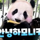 (주)판다 이미지