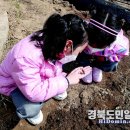 병곡초등학교병설유치원 이미지