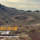 금오름농장 | 제주 금오름 후기 (서쪽 여행 코스로 다녀온 주차와 오름 난이도 솔직 후기)