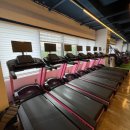 91Fit | 세종 나성동 헬스장 — 91FIT 체험 후기 “시설·프로그램·분위기까지 모두 만족!”