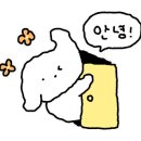헤미카페