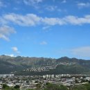 락휴 노래타운 해운대비치점 | 하와이여행 아기랑 4일차: 노팁택시투어(오아후섬투어)