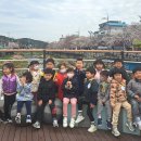 영덕야성초등학교병설유치원 이미지