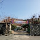 심광사 목조석가모니불좌상 | 심광사(대전 동구 천동)/목조석가모니불좌상(유형문화재)