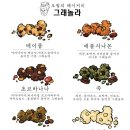 오월의제과점 - 김포시 황금로70번길 5-13 | 오월의제과점