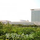 대한전기안전원 이미지
