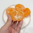 유현농장 이미지