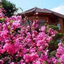 에끄랑펜션 이미지