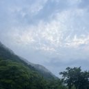 백자동캠핑장 이미지