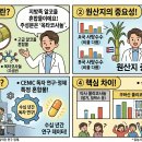 염제 | 폴리토린 파염제 — 진짜 효과 있을까? 주변에서 겪은 생생한 후기까지