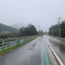 참전복로(보전항) Daum카페