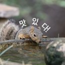 씨유청양덕윤타워점 | 23년 12월 첫째주의 희소식(11.27 ~ 12.03 )