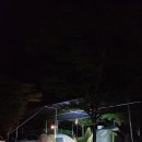 2박3일캠핑 깡통기차, 보트타기, 알파카먹이주기체험까지 80번째캠핑은 빙기실마을 달빛고운캠핑장