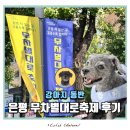 이마트24 은평갈현로점 | 2025 은평 무차별대로축제 강아지동반 후기