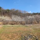 성안농장 이미지