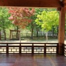 농월정오토캠핑장 이미지