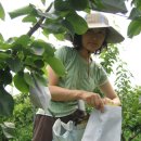 김상기농장 이미지