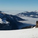 융프라우 이미지