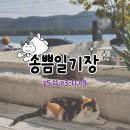 라니핑퐁 | [일기] 송쁨일기장 25.11.03-25.11.09
