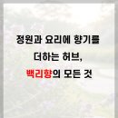 백림조경