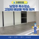 남양주 특수청소, 고양이 배설물 냄새 악취 제거