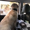 Paxi(팩시) 이미지