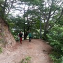 덕신산장