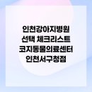 코지동물의료센터 서구청점 | 인천강아지병원 선택 체크리스트 코지동물의료센터 인천서구청점