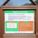 졸드루야영장 이미지