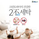 크린토피아개봉