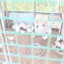 소산농장 이미지