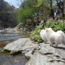 달고펜션 이미지