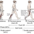 신체밸런스와 건강 이미지