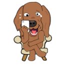 치즈 애견유치원&애견호텔 이미지