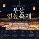 삼광사 | 2026부산연등축제 주차 가능할까 삼광사 연등축제 실제 후기 정리