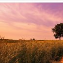 시진농장 이미지